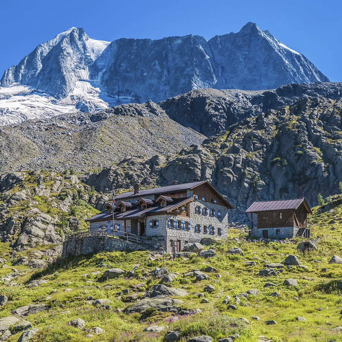 MONROC ALTA QUOTA Therapy