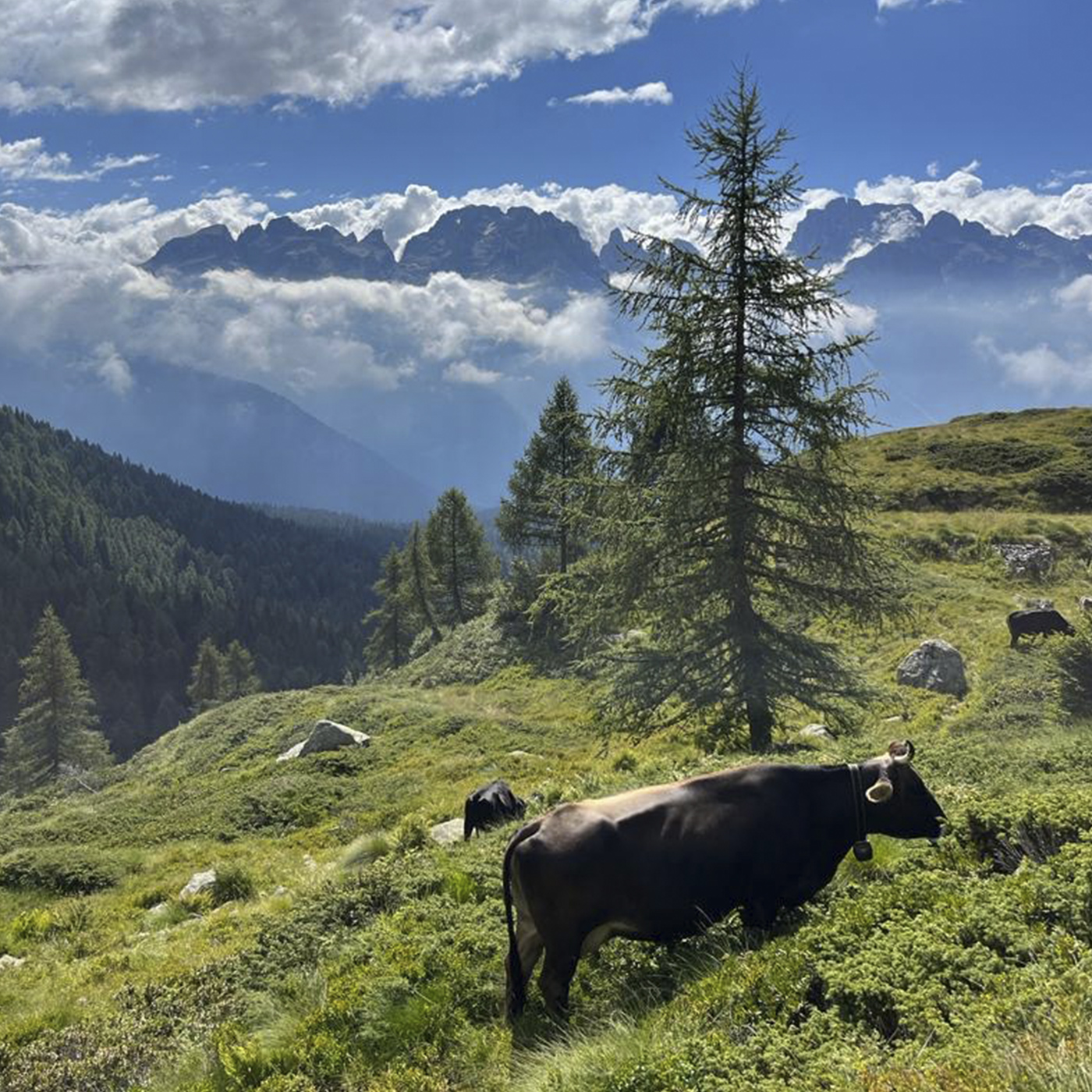 MONROC-BEACTIVE-WEEKLY-1400x1400