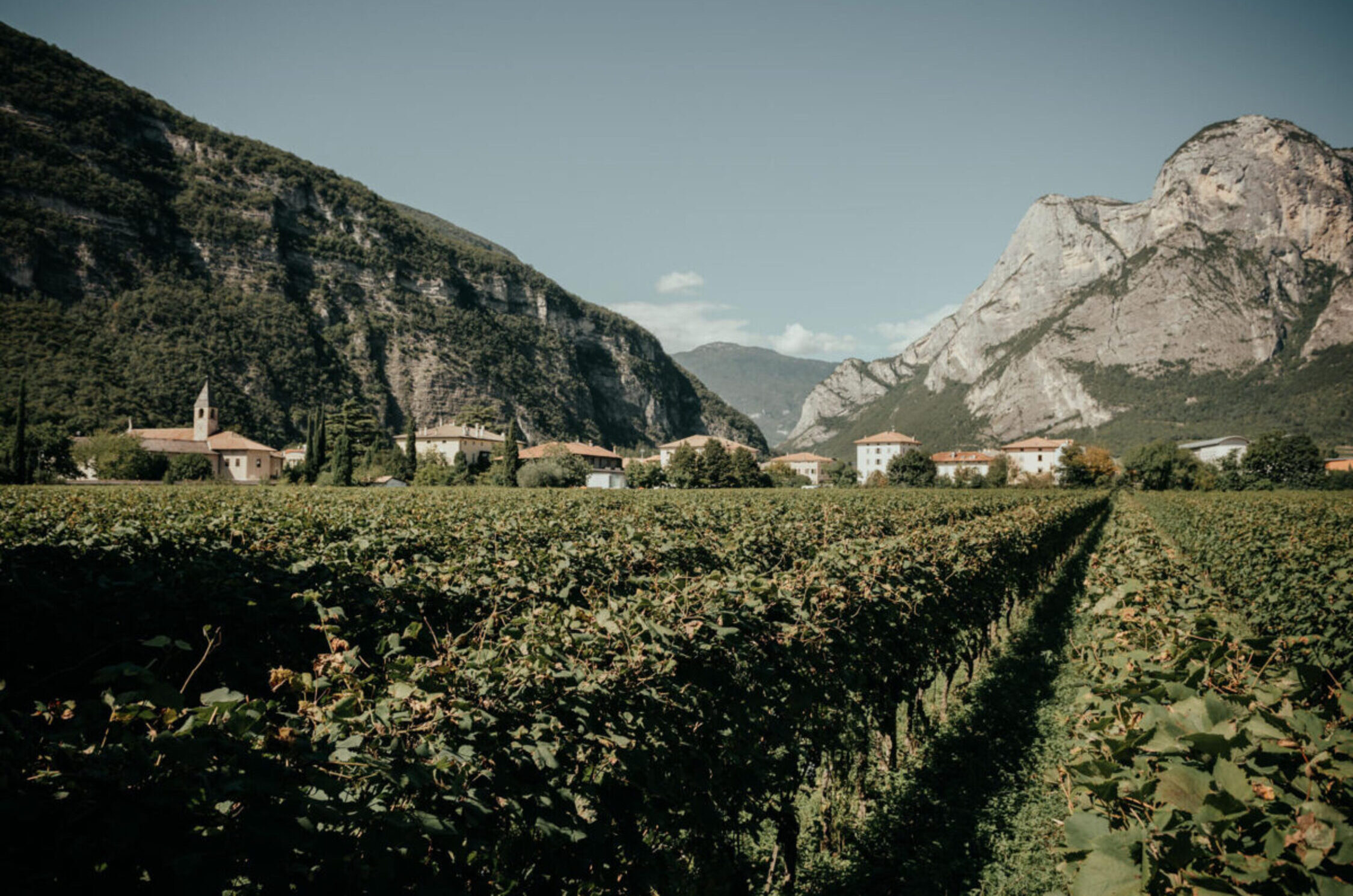 Foradori-wine tour- Monroc