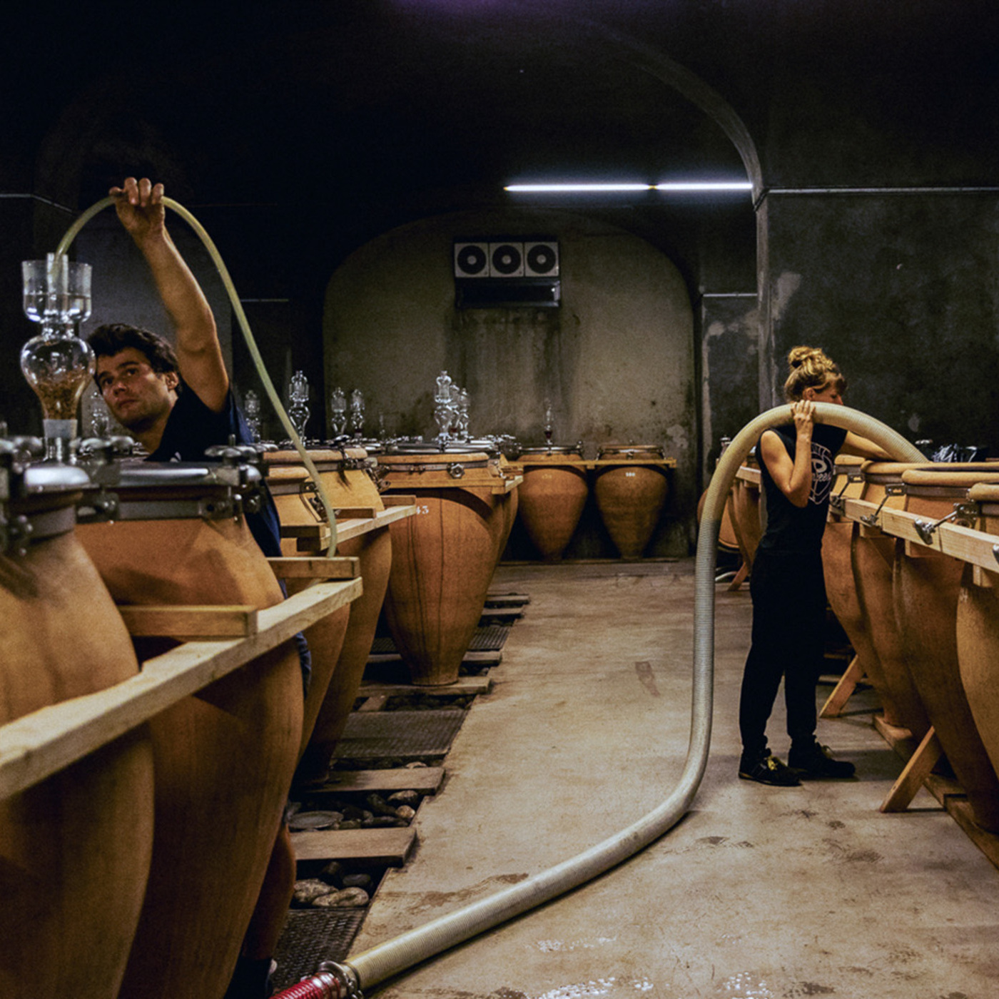 Foradori wine tour Monroc