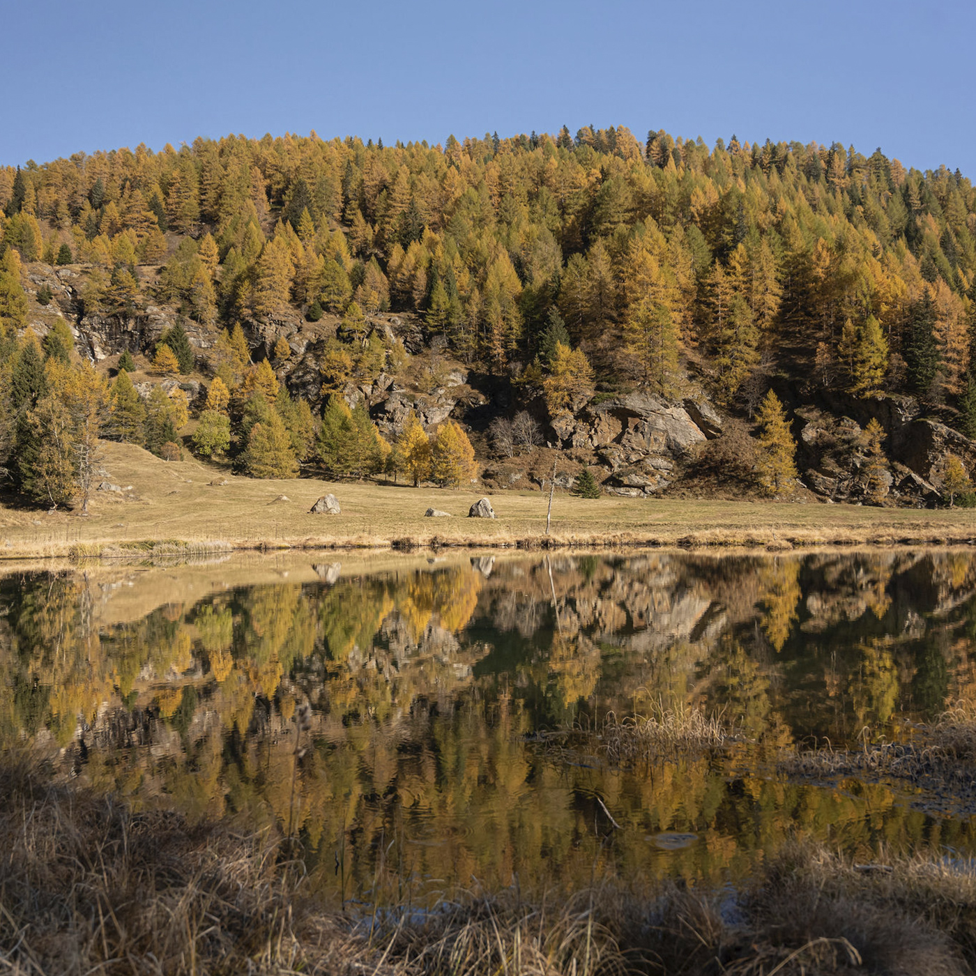 MONROC-BLOG-AUTUMN-covel3-1400x1400