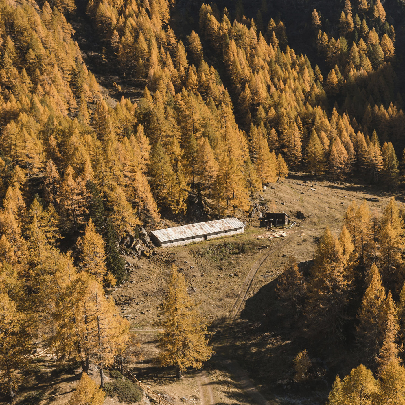 MONROC-BLOG-AUTUMN-pianpalu3-1400x1400