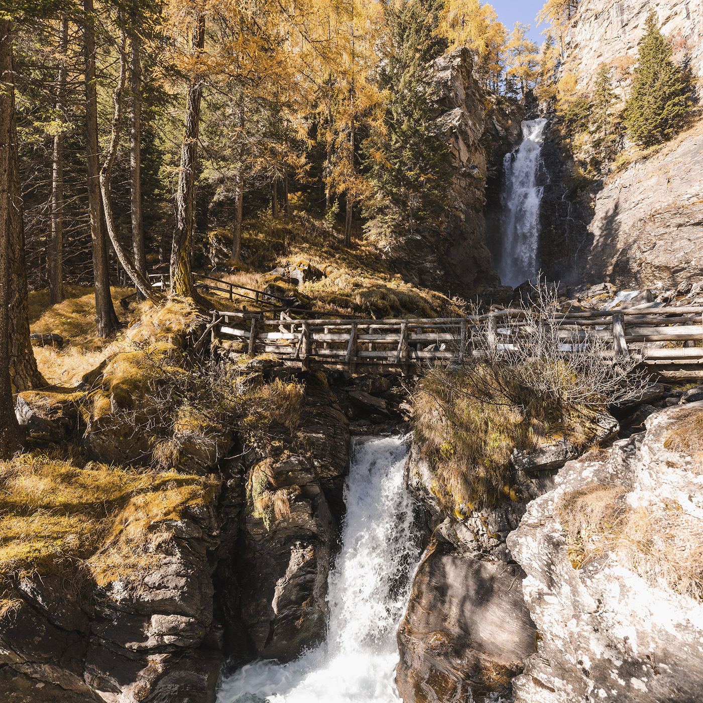 MONROC-BLOG-AUTUMN-saent2-1400x1400