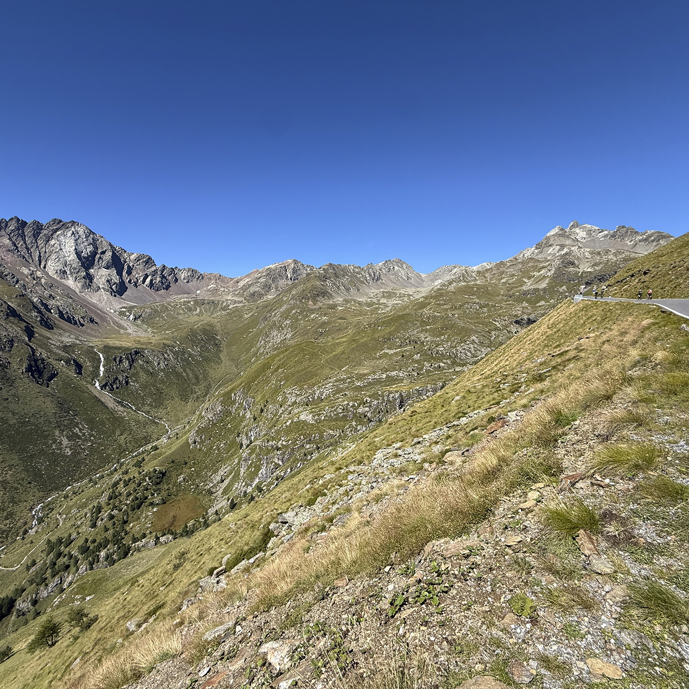 MONROC-BLOG-gavia6-1400x1400