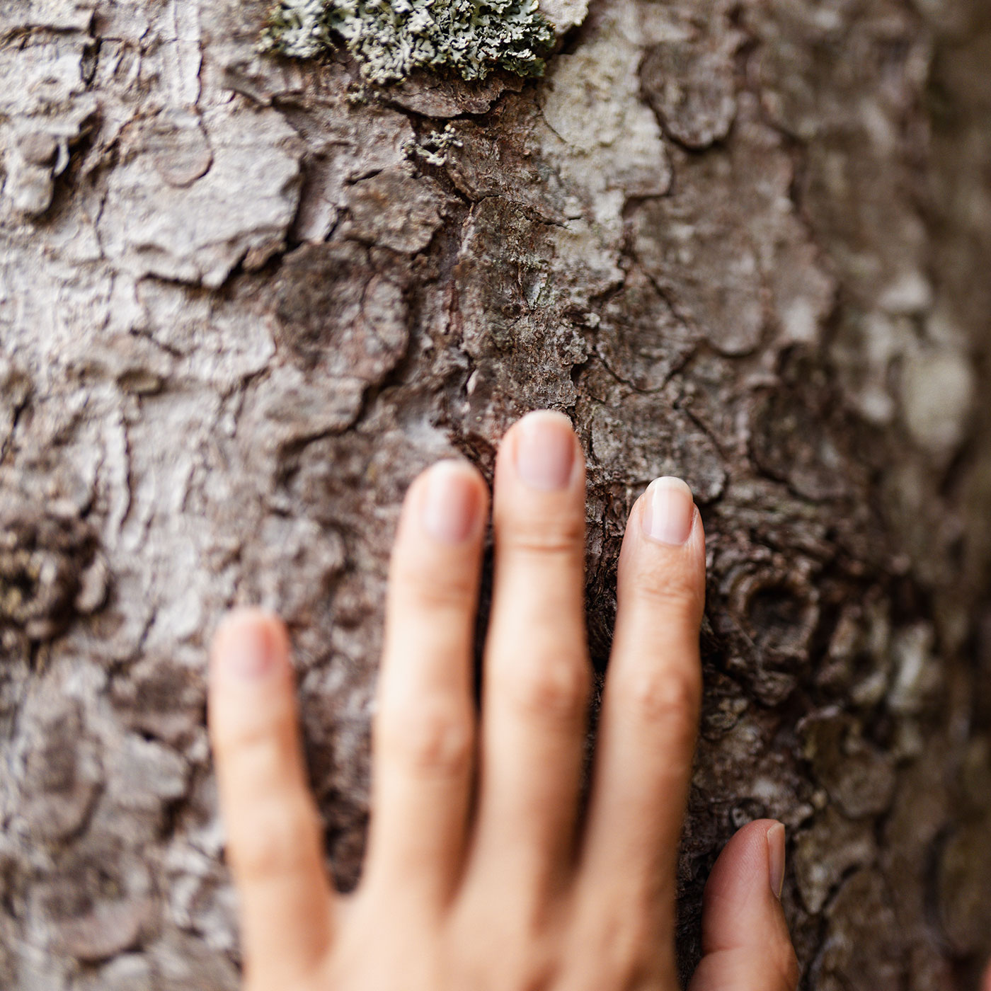 MonrocHotel-GPH-111-1400x1400